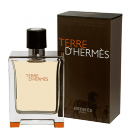 Terre D'Hermes EDT - 100ml